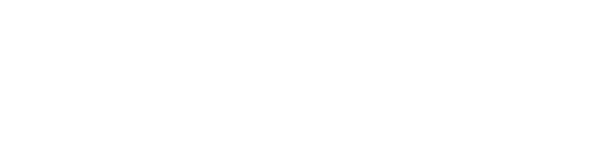 Fidelity